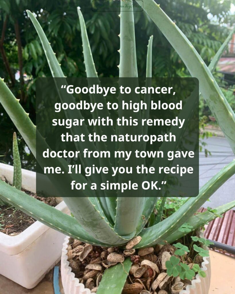 Lemon & Nopal Drink: A Natural Detox Beverage for Blood Sugar Support and Wellness