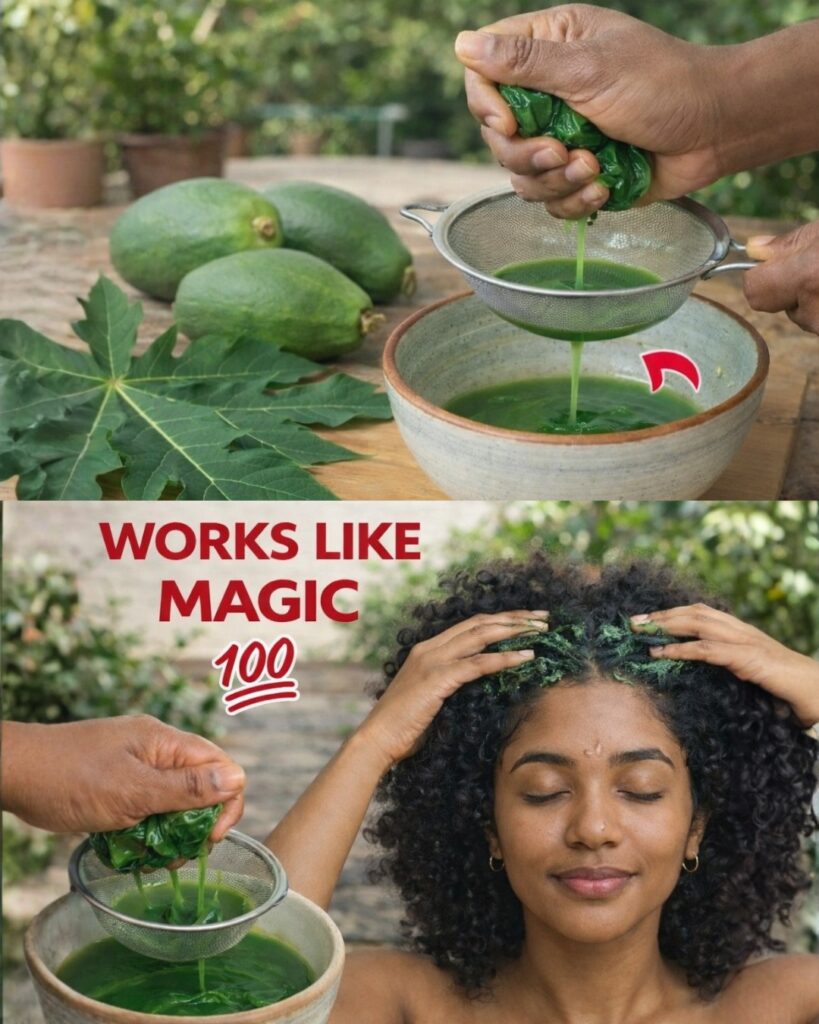 Papaya Leaves for Hair: A Natural Remedy for Stronger, Healthier Hair